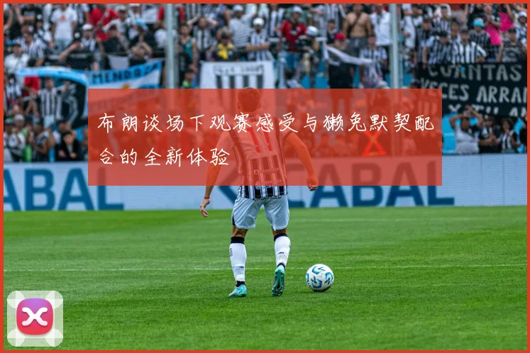 布朗谈场下观赛感受与獭兔默契配合的全新体验