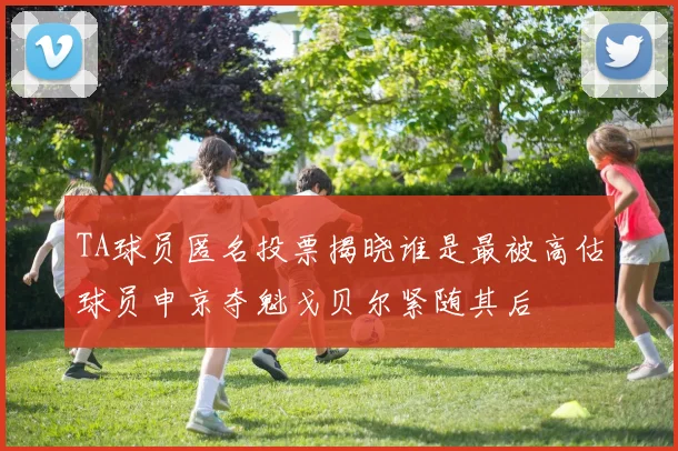 TA球员匿名投票揭晓谁是最被高估球员申京夺魁戈贝尔紧随其后